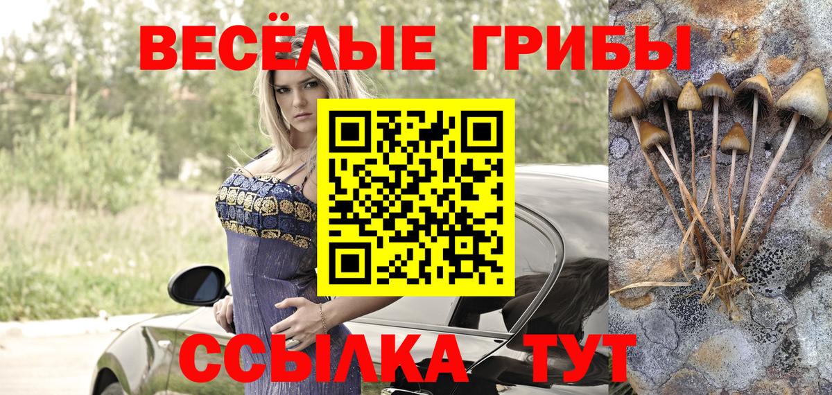 Галлюциногенные грибы Psilocybe  Галлюциногенные грибы Cubensis  Мурманск  Вход с VPN 